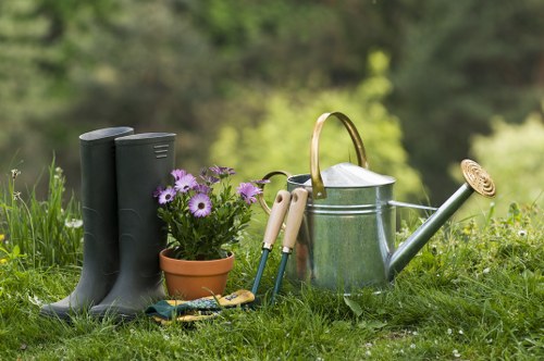 Tidy hedge cutting service suited to Stokenewington homes and businesses
