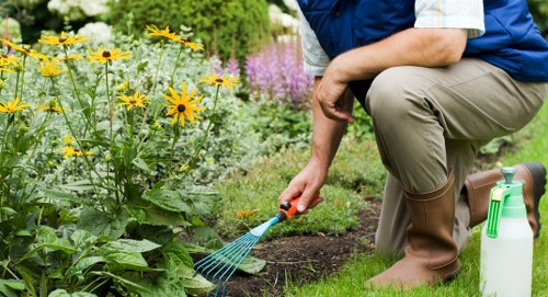 Trusted payment and security for Tree Surgeons Stokenewington