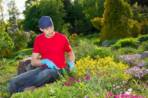 Professional tree surgeons discussing a free quote